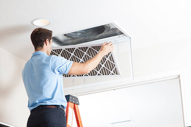 Best Air Filters and Purifiers in Weedpatch, CA